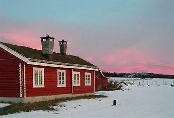 Hollandsk * Vinstra